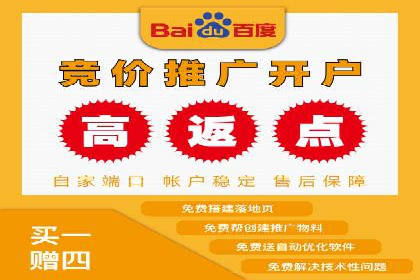 百度竞价与搜索引擎优化（SEO）结合的经典案例